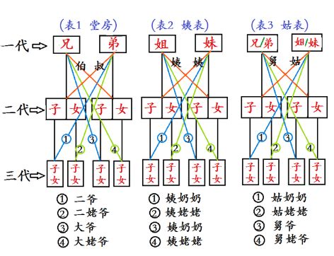 堂表怎麼分